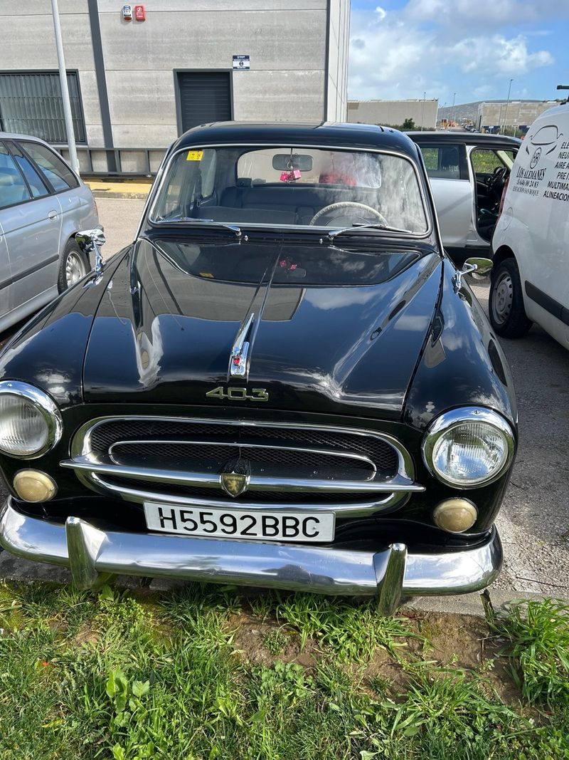 Peugeot 403 1980