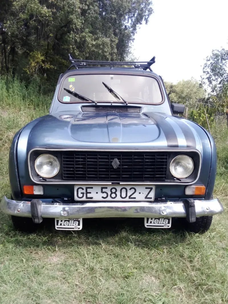 Renault 4tl 89