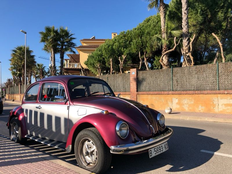 Volkswagen Beetle 1989