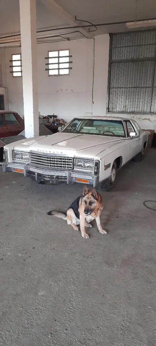 Cadillac Eldorado 1978