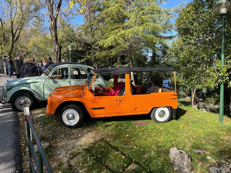 Citroen  Mehari 1980