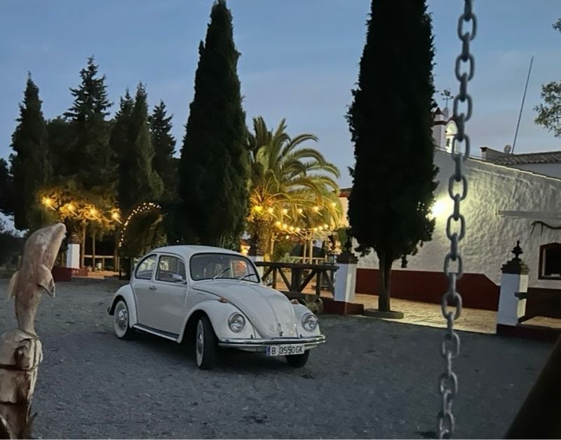 Volkswagen Vk1500 1984