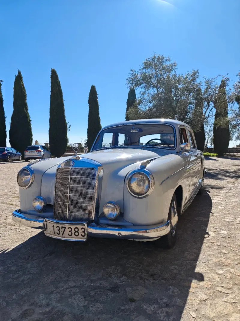 Mercedes-Benz Pontón 1956