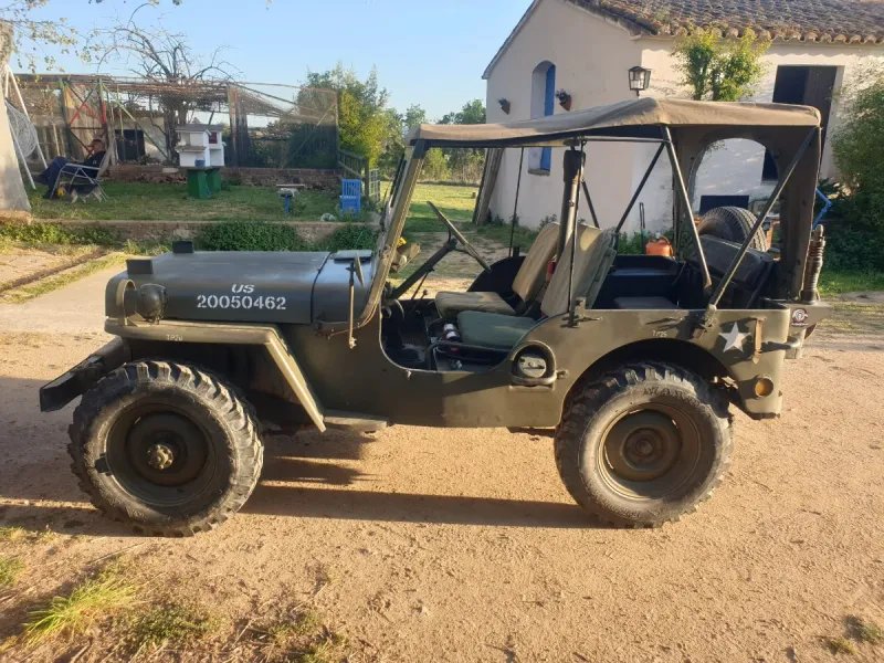 Jeep willys M38 1955
