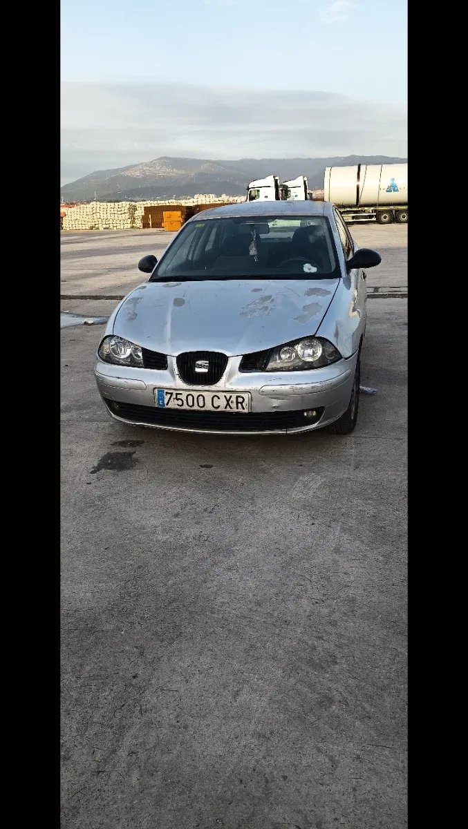 ibiza Seat ibiza 205